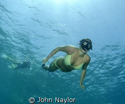 snorkelers. by John Naylor 